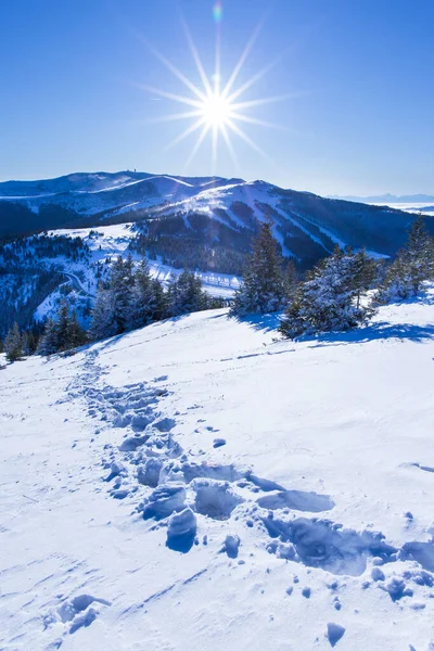 在奥地利的一座山上 一个美丽的冬日里 雪地在徒步旅行 — 图库照片