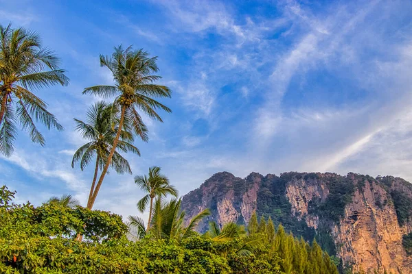 Palme Scogliere Sulla Bellissima Costa Krabi Thailandia — Foto Stock