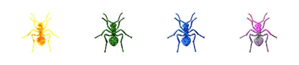 Farklı Canlı Desenlerden Oluşan Dört Örümceğin Izole Bir Çizimi — Stok fotoğraf