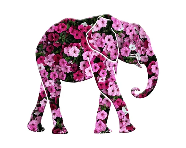 Elefante Isolado Composto Por Flores Petúnia Rosa Sobre Fundo Branco — Fotografia de Stock