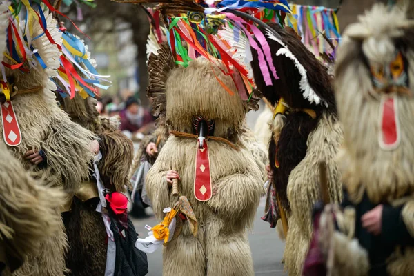 Ptuj Slovenien Feb 2016 Mest Populära Och Etnologiskt Betydelsefulla Karnevalsevenemang — Stockfoto