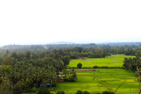 Une Agriculture Indienne Côté Village Indien — Photo