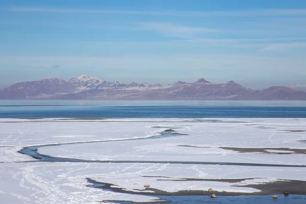 Beau Cliché Lointaine Île Antelope Milieu Grand Lac Salé Utah — Photo