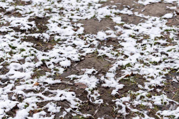 Tiro Foco Seletivo Chão Nevado — Fotografia de Stock