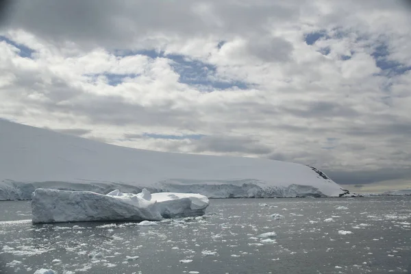 Gezicht Bevroren Antarctica Wateren — Stockfoto