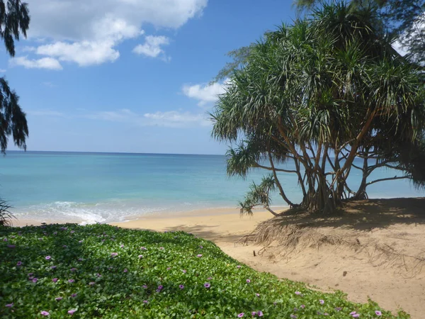 Hermoso Paisaje Playa Tranquila Con Árboles Vegetación Phuket Tailandia — Foto de Stock