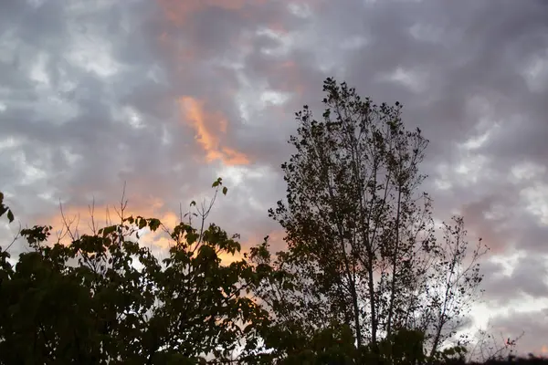 Eine Schöne Wolkenlandschaft Bei Sonnenuntergang Über Baumsilhouetten — Stockfoto