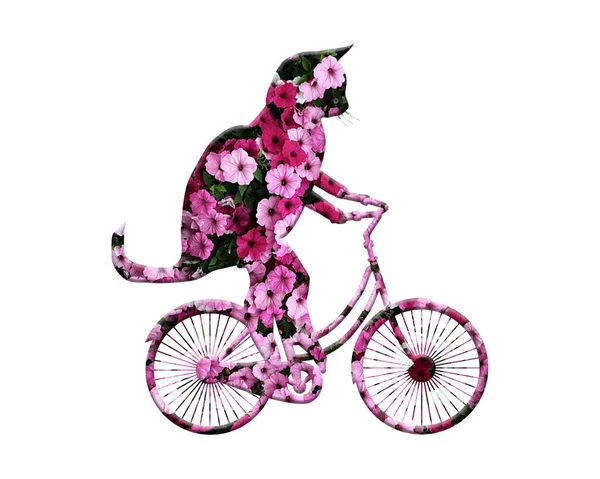 Illustration Söt Katt Rida Cykel Ett Blommigt Mönster Vit Bakgrund — Stockfoto