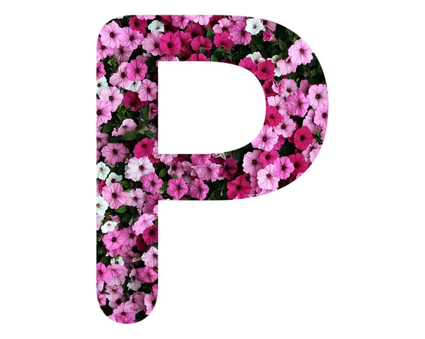 Una Letra Aislada Compuesta Flores Petunia Rosa Sobre Fondo Blanco —  Fotos de Stock