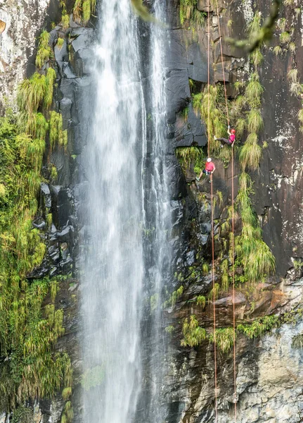 Vertikal Bild Två Personer Abseiling Vid Vattenfallet — Stockfoto