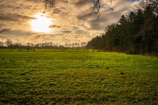 Rainy Cloudscape Fresh Grass Field Norderney Germany — Stock fotografie