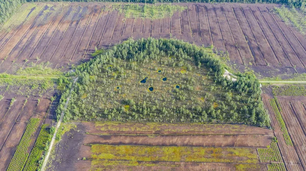 Widok Lotu Ptaka Bagno Pozostałymi Elementami Naturalnymi Zniszczonym Obszarem Przez — Zdjęcie stockowe