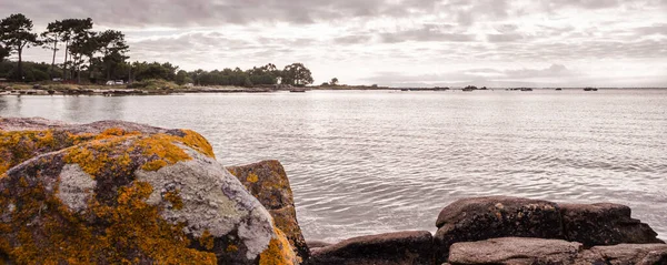 Vue Panoramique Mer Des Rochers Avec Des Lichens Sur Île — Photo