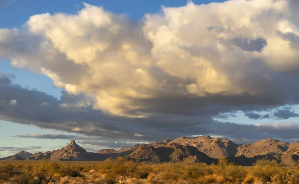 Congreso Arizona Estados Unidos Diciembre 2020 Los Últimos Restos Paso — Foto de Stock