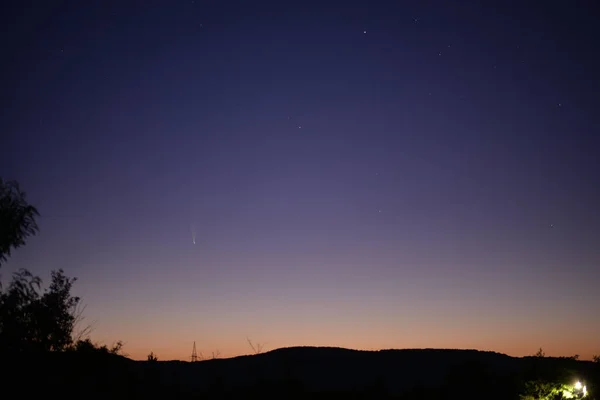 Bel Cielo Notturno Sulle Silhouette Degli Alberi — Foto Stock