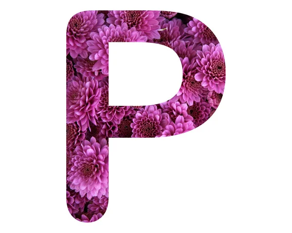 Een Geïsoleerde Letter Bestaande Uit Roze Chrysanten Witte Achtergrond — Stockfoto