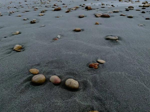 Una Spiaggia Sabbiosa Con Conchiglie — Foto Stock