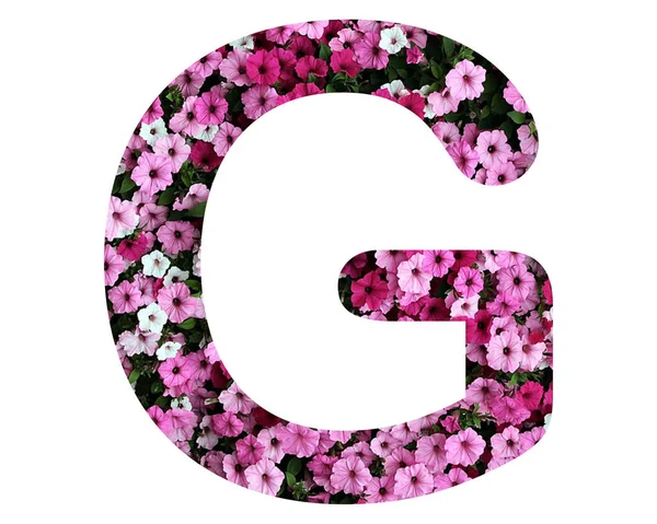 Een Geïsoleerde Letter Bestaande Uit Roze Petunia Bloemen Witte Achtergrond — Stockfoto
