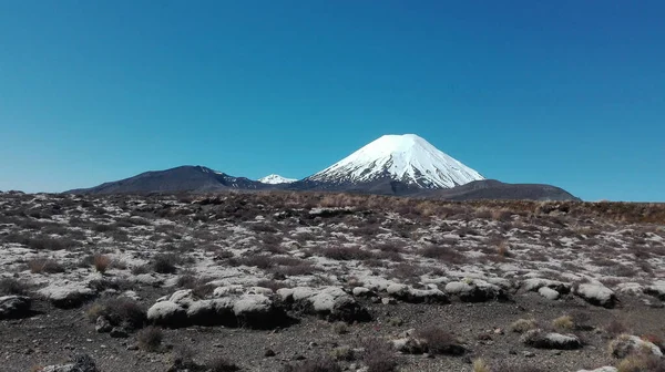 Los Picos Nevados Montaña Campo Piedras Nueva Zelanda —  Fotos de Stock