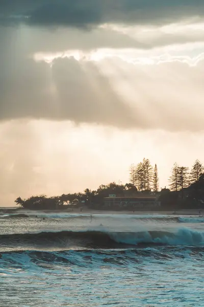 Een Verticaal Schot Van Bomen Door Zee Bij Zonsondergang — Stockfoto