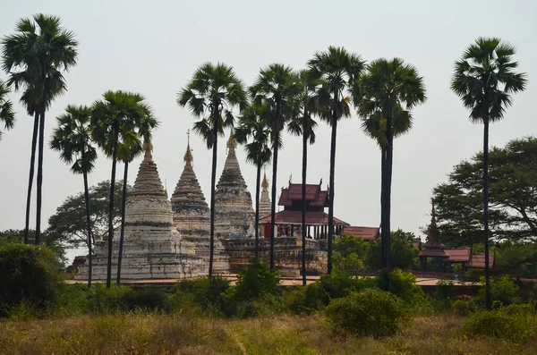 Hermoso Plano Templo Bagan Myanmar Birmania —  Fotos de Stock