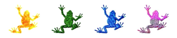 Illustration Frogs Colorful Glitter — Fotografia de Stock