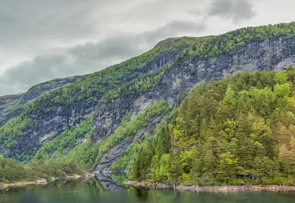 ノルウェーの木々に覆われた丘の美しいショット — ストック写真