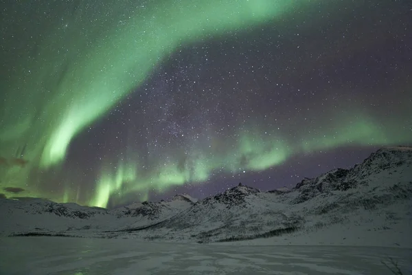 Beautiful Shot Bright Green Northern Lights Tromso Norway — Stock Photo, Image