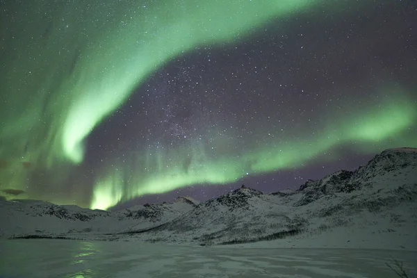 Beautiful Shot Bright Green Northern Lights Tromso Norway — Stock Photo, Image