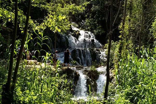 Belo Tiro Uma Cachoeira Fluindo Uma Floresta — Fotografia de Stock