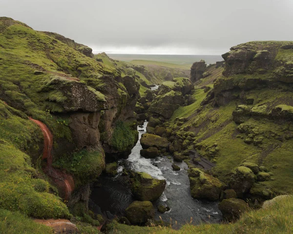 Красивый Вид Реку Скога Зеленые Луга Исландии — стоковое фото