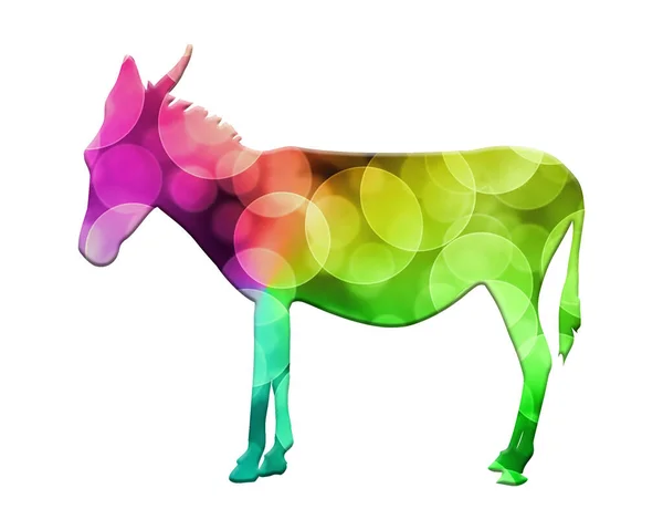 Illustration Donkey Animal Logo Icon Watercolor — Fotografia de Stock