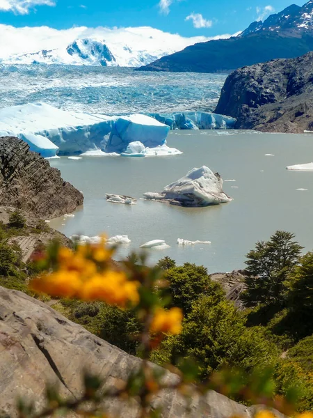 Grey Gletscher Nel Parco Nazionale Torres Del Paine Nel Sud — Foto Stock