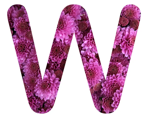 W文字のロゴの3Dイラスト — ストック写真