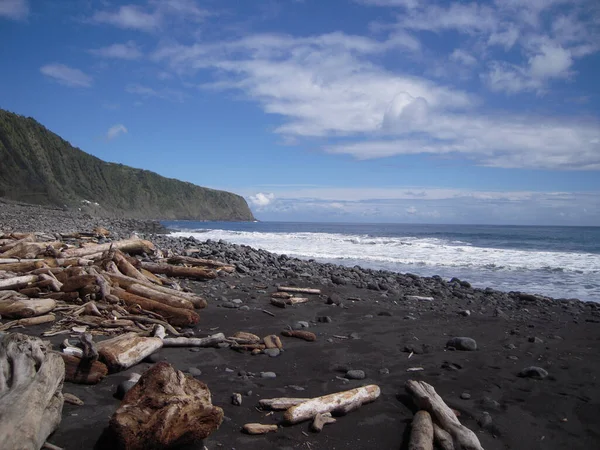 Una Playa Arena Con Trozos Madera Piedras Mar Azul Día — Foto de Stock