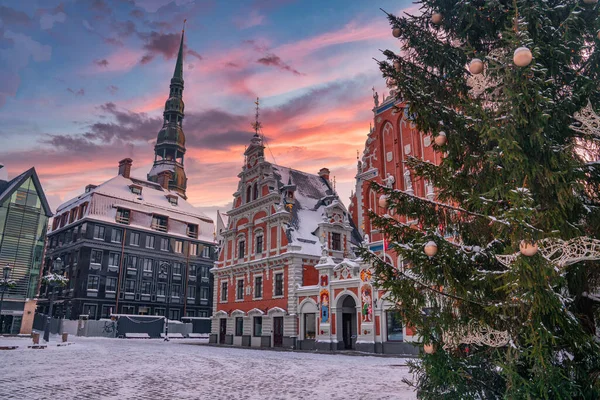 Beautiful Sunset Decorated Christmas Tree House Blackheads Museum Riga — Stock Photo, Image