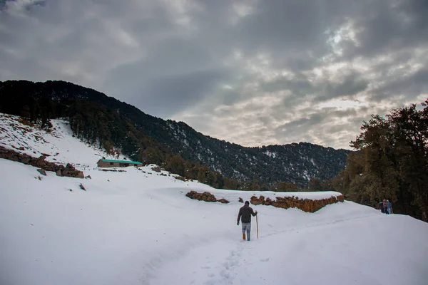 Una Vista Trasera Una Persona Esquiando Montañas Nevadas — Foto de Stock
