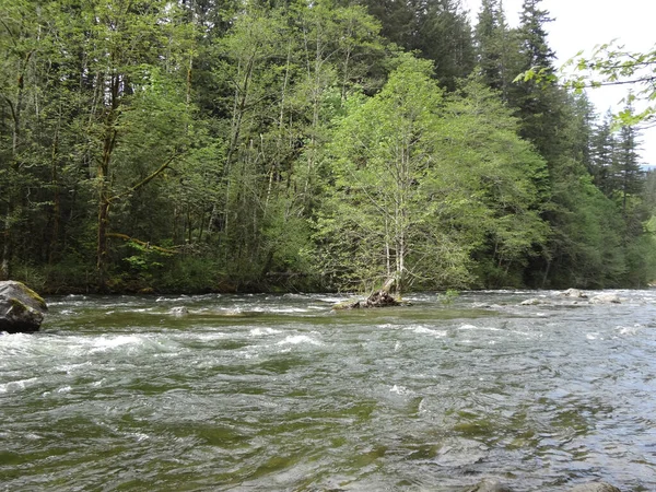 Montreal Canada May 2013 River Flowing Woods Nature Clicks Montreal — 图库照片