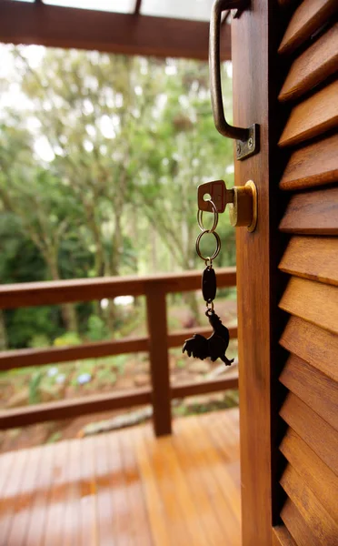 Tiro Seletivo Vertical Foco Uma Chave Com Chaveiro Galinha Porta — Fotografia de Stock