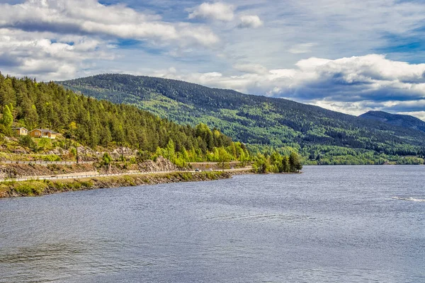 Beautiful Shot Trees Mountains Shore Lake Cloudy Sky Norway — Stock Photo, Image