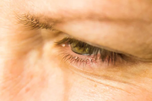 Tiro Close Belo Olho Humano Com Pestanas Longas — Fotografia de Stock