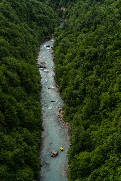 木に覆われた山を流れる川の垂直空撮 — ストック写真