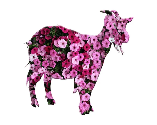 Eine Abbildung Einer Ziege Mit Floralem Muster Auf Weißem Hintergrund — Stockfoto