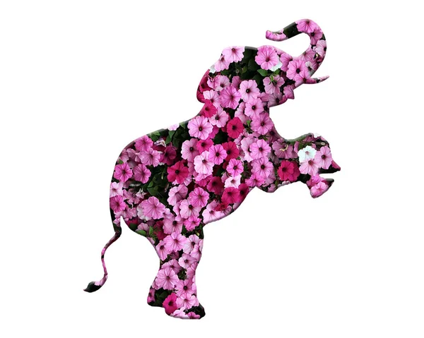 在白色背景上的花朵图案中的大象的图例 — 图库照片
