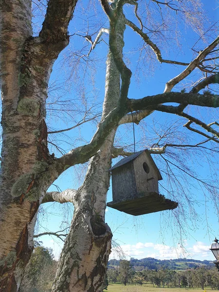 オーストラリアのシドニーで木からぶら下がっている古い素朴な木造の鳥小屋の垂直ショット — ストック写真