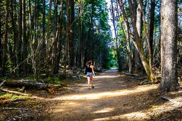 Młoda Samica Krocząca Ścieżką Leśną Starymi Wysokimi Drzewami Obu Stronach — Zdjęcie stockowe