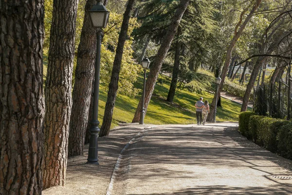 Una Coppia Mezza Età Che Abbraccia Cammina Parco — Foto Stock