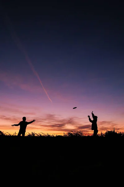 Vertikal Bild Två Vänners Siluett Spela Frisbee Med Platt Rund — Stockfoto