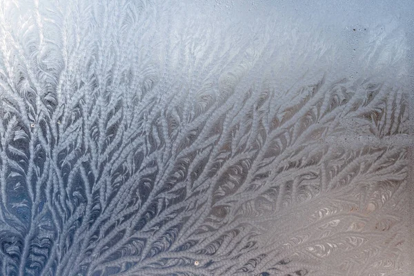 Eine Nahaufnahme Von Astmustern Mit Eis Fenster — Stockfoto