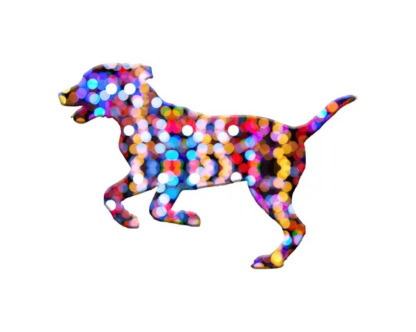 一只由五彩斑斓灯光背景组成的孤零零的跑步犬 — 图库照片